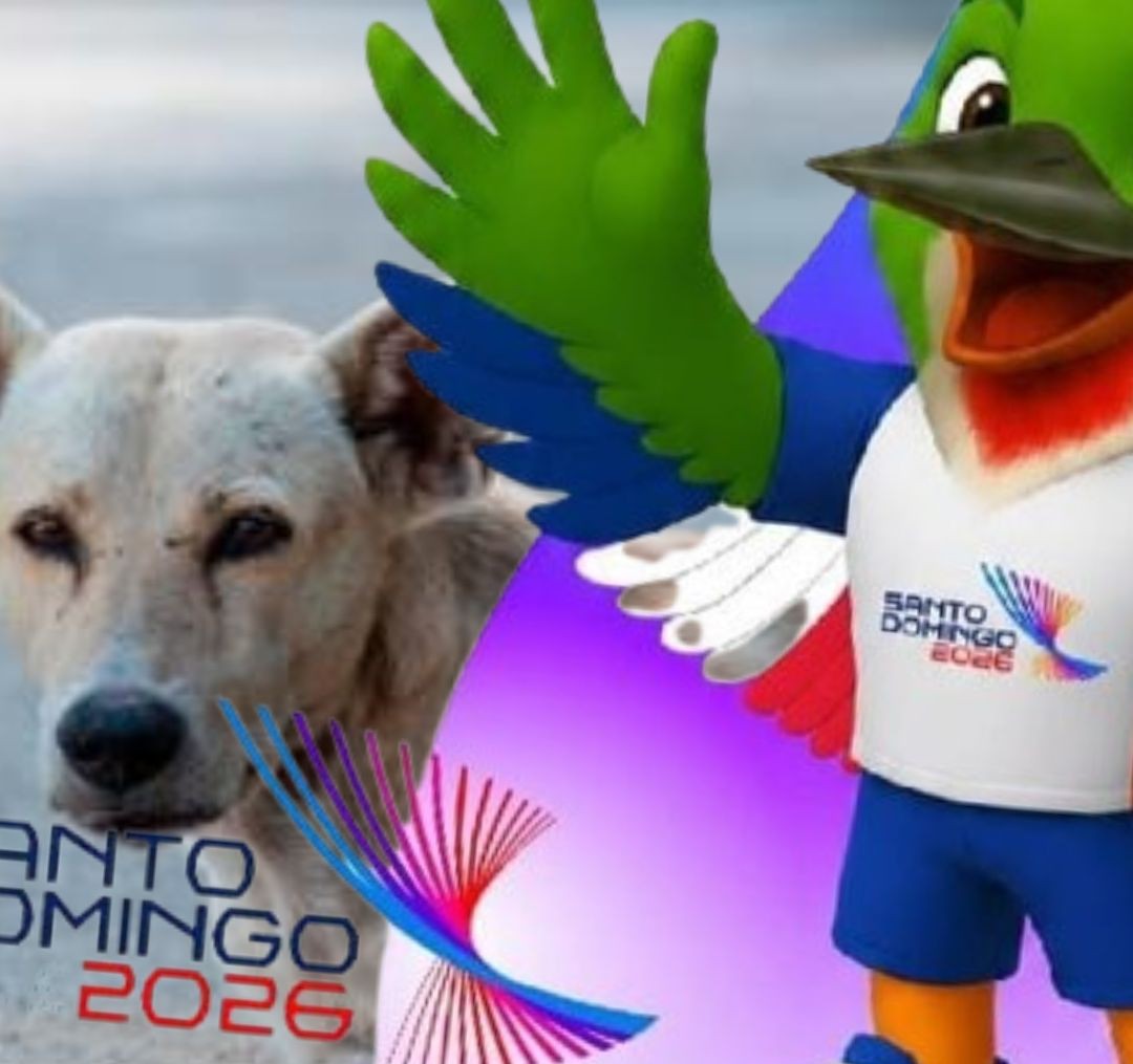 Miderec protege perros que habitan en instalaciones de Juegos Centroamericanos